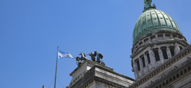 Cómo es el procedimiento de análisis del DNU en el Congreso