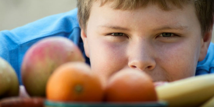 Obesidad infantil: "El bombardeo de publicidad de alimentos no saludables vulnera el derecho a la salud de niños y adolescentes"