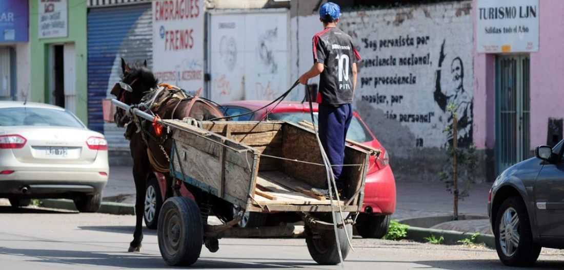 Por qué en Mendoza no avanzan los proyectos para prohibir la tracción a sangre