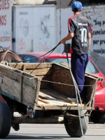 Por qué en Mendoza no avanzan los proyectos para prohibir la tracción a sangre