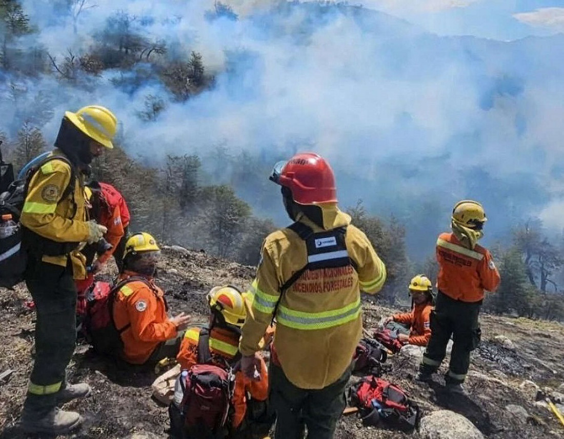 El peor incendio forestal en seis décadas: se quemaron 60 mil hectáreas en la Patagonia