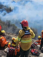 El peor incendio forestal en seis décadas: se quemaron 60 mil hectáreas en la Patagonia