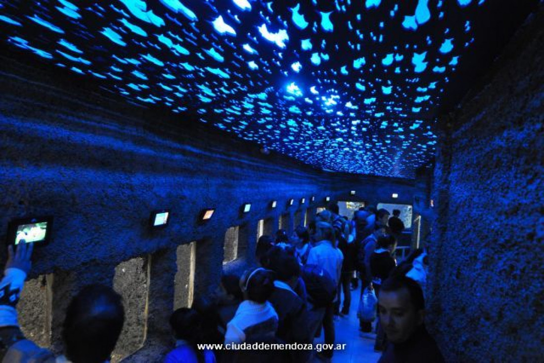 El acuario de Mendoza es el más antiguo del país 