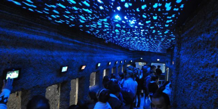 El acuario de Mendoza es el más antiguo del país 