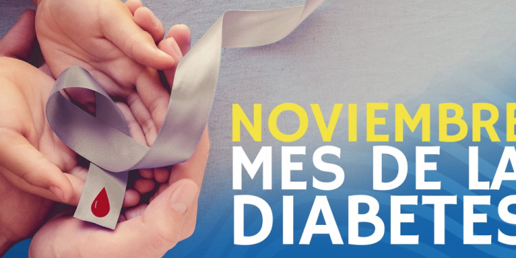 Noviembre, Mes de la Diabetes: qué alcances tiene y concientización de hábitos preventivos. Entrevista Dra. Celina Bertona, médica diabetóloga del Hospital Universitario.