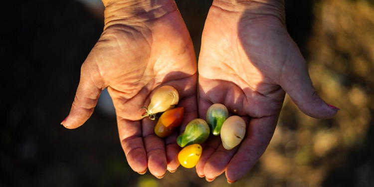 Agricultura regenerativa: una opción sostenible que aumenta productividad y reduce costos