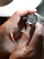 Hallan plantas fósiles de 242 millones de años en Mendoza