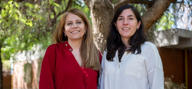 El diseño urbano como estrategia contra el calor extremo: "Cada sombra y cada material cuentan"