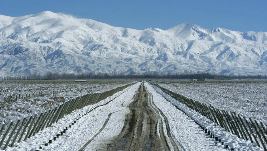 imagen que ilustra noticia El Niño anticipa más nevadas para Mendoza, pero no asegura un invierno histórico