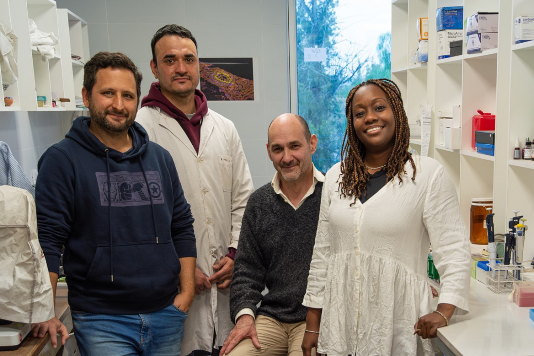 Equipo del Conicet identificó una estrategia alternativa para el tratamiento del dolor crónico