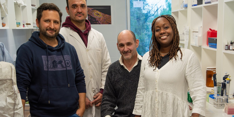 Equipo del Conicet identificó una estrategia alternativa para el tratamiento del dolor crónico