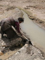 La salud del 70% de trabajadores y trabajadoras del mundo está en riesgo por el cambio climático