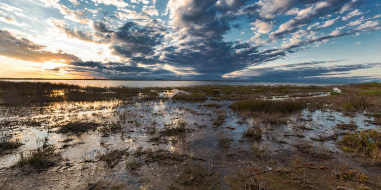 Los acuíferos del mundo disminuyeron de manera considerable en las últimas cuatro décadas