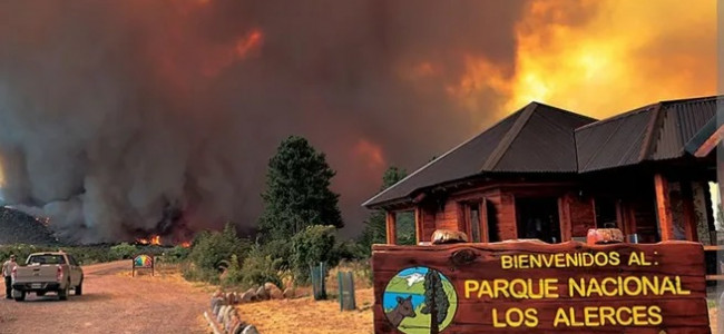 Continúa el incendio en el Parque Nacional Los Alerces