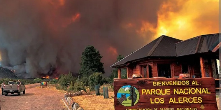 Continúa el incendio en el Parque Nacional Los Alerces