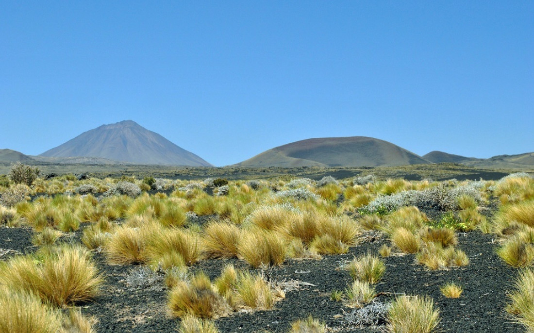 Casi el 10% de la tierra rural de Mendoza está en manos extranjeras 