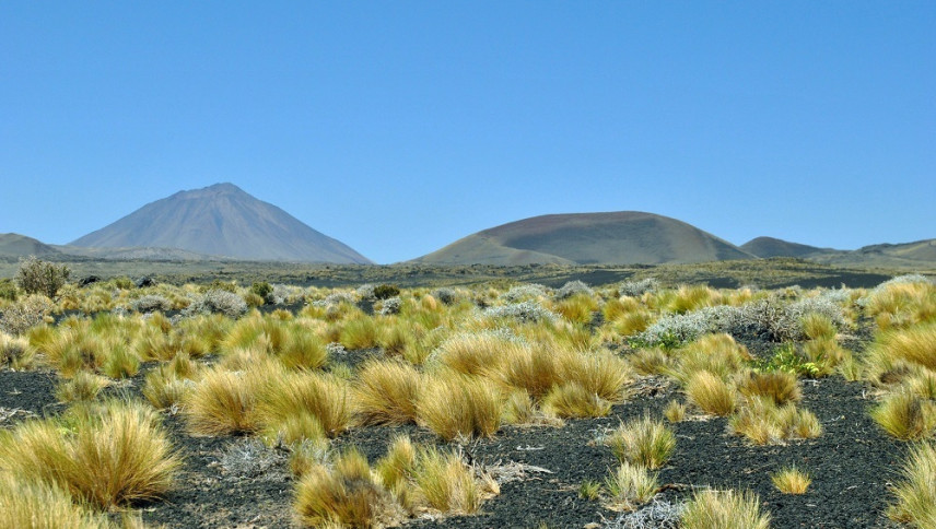 imagen que ilustra noticia Casi el 10% de la tierra rural de Mendoza está en manos extranjeras 