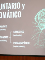 Guía práctica de respiración consciente para que estudiantes y docentes gestionen mejor las emociones