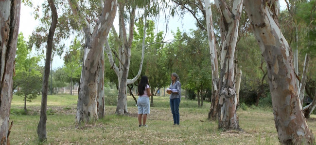 Prevención del suicidio: "Pude salir de ese lugar tan feo que estuve viviendo"