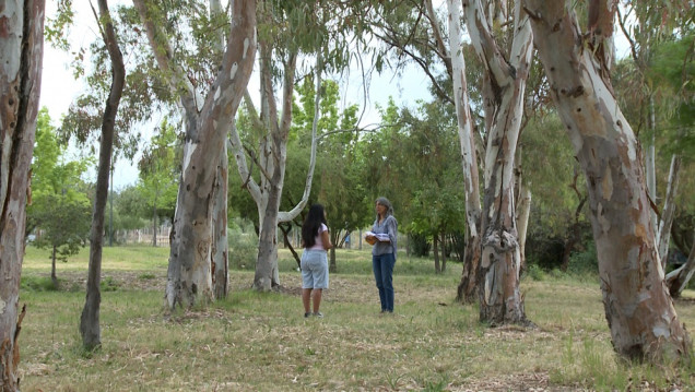 imagen Prevención del suicidio: "Pude salir de ese lugar tan feo que estuve viviendo"