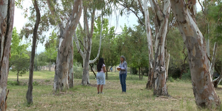 Prevención del suicidio: "Pude salir de ese lugar tan feo que estuve viviendo"