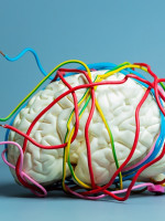 Las IA también pueden sufrir "brain rot": por qué el contenido basura es un riesgo real