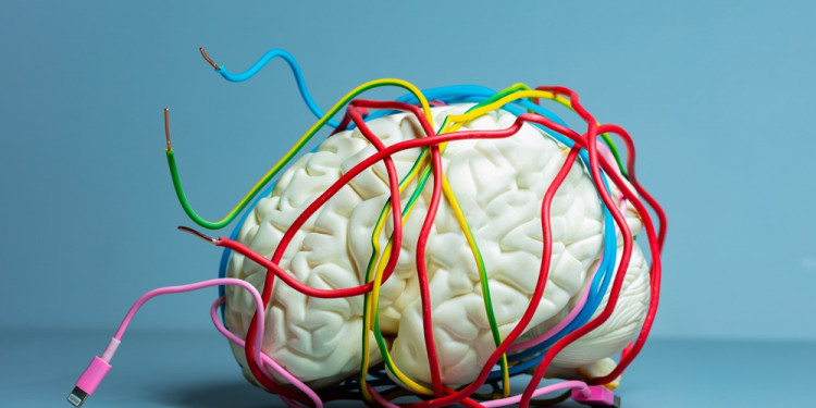 Las IA también pueden sufrir "brain rot": por qué el contenido basura es un riesgo real