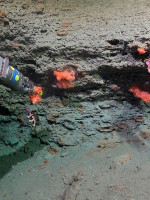 El Conicet volverá a explorar las profundidades del mar Argentino a bordo del Falkor