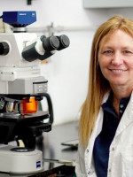 Premiaron a una investigadora del Conicet por crear un método para que las plantas resistan las olas de calor