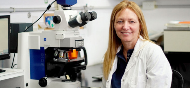 Premiaron a una investigadora del Conicet por crear un método para que las plantas resistan las olas de calor