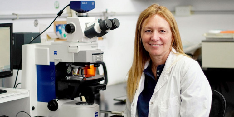 Premiaron a una investigadora del Conicet por crear un método para que las plantas resistan las olas de calor