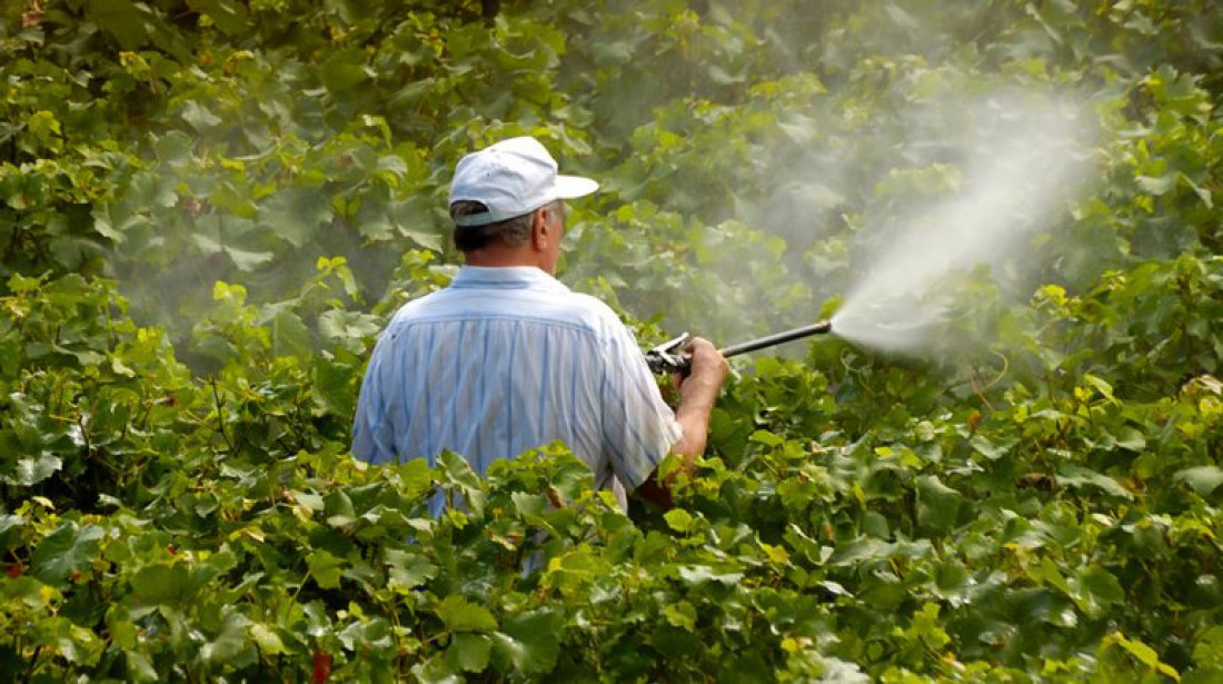 Un estudio revela la presencia de agrotóxicos en la población Argentina