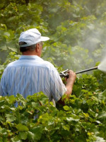 Un estudio revela la presencia de agrotóxicos en la población Argentina