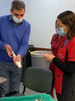 Aborto en Mendoza: el método más usado es el farmacológico, pero profesionales reclaman más opciones