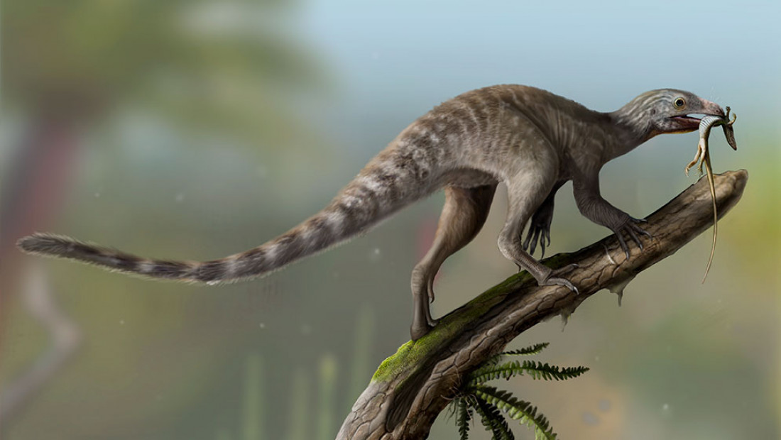 Fósil devela un enigma de la paleontología: cómo eran los ancestros de los reptiles voladores