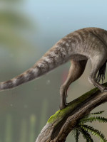Fósil devela un enigma de la paleontología: cómo eran los ancestros de los reptiles voladores