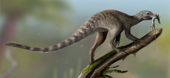 Fósil devela un enigma de la paleontología: cómo eran los ancestros de los reptiles voladores