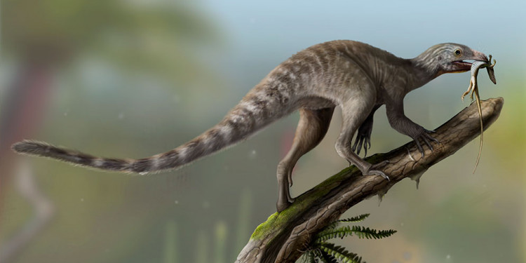 Fósil devela un enigma de la paleontología: cómo eran los ancestros de los reptiles voladores
