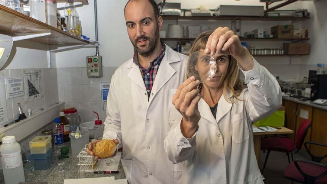 Equipo científico argentino desarrolla materiales biodegradables para envases de alimentos