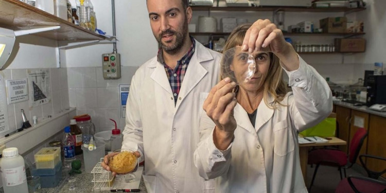 Equipo científico argentino desarrolla materiales biodegradables para envases de alimentos
