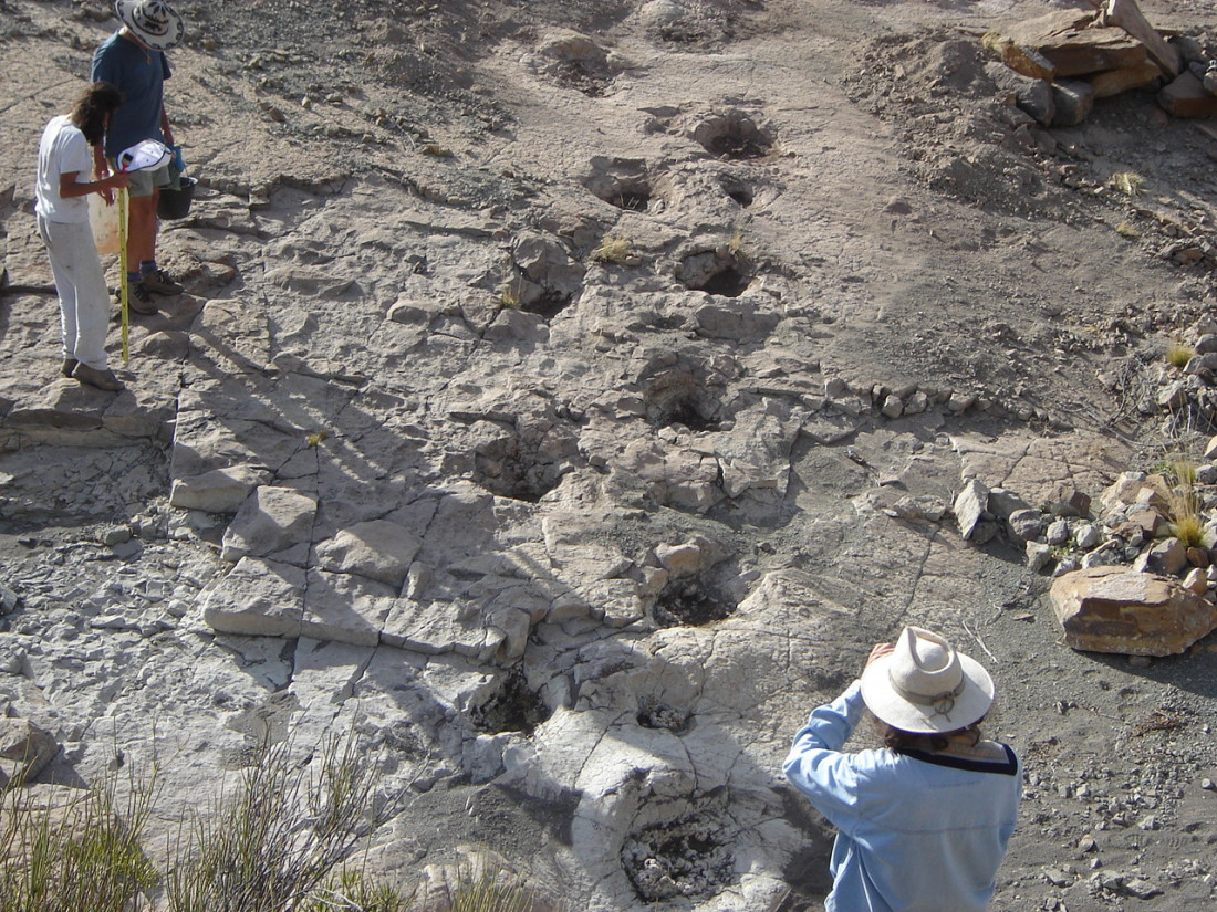 "Huellas de dinosaurios": avanza un nuevo y único museo a cielo abierto en Malargüe