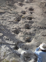 "Huellas de dinosaurios": avanza un nuevo y único museo a cielo abierto en Malargüe
