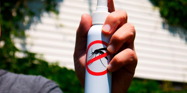 Aerosol, gel o crema: la efectividad de los repelentes es la misma ante los mosquitos