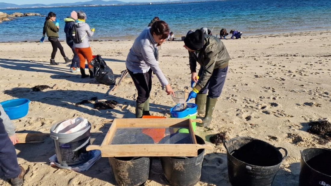 Señalan como catástrofe ambiental a la inundación de bolitas de plásticos en la costa norte europea