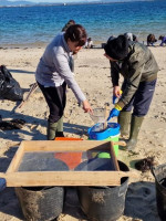 Señalan como catástrofe ambiental a la inundación de bolitas de plásticos en la costa norte europea
