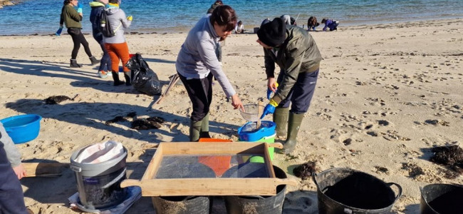 Señalan como catástrofe ambiental a la inundación de bolitas de plásticos en la costa norte europea