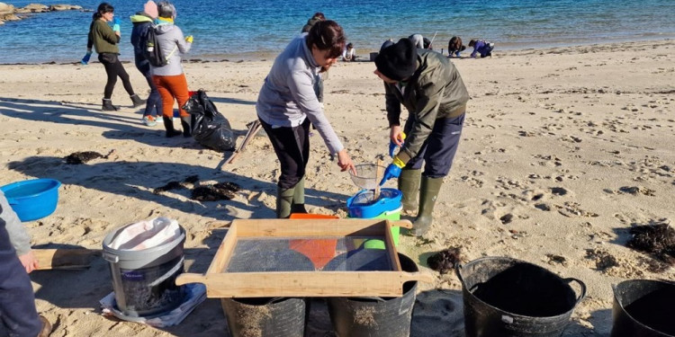 Señalan como catástrofe ambiental a la inundación de bolitas de plásticos en la costa norte europea