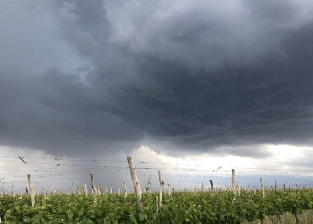 El Gobierno de Mendoza declaró el estado de emergencia y desastre agropecuario