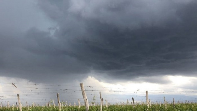 imagen El Gobierno de Mendoza declaró el estado de emergencia y desastre agropecuario