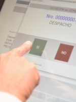 Los caminos que se abren con el aval legislativo a la explotación de cobre en Mendoza 